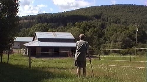 The Birds Tell Me All There Is To Know Bild 1