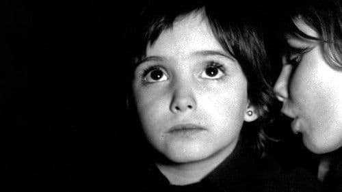 Der Geist des Bienenstocks Bild 7