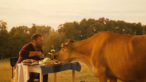 Sommer auf dem Land Bild 5