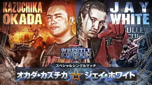 NJPW Wrestle Kingdom 13 Bild 6