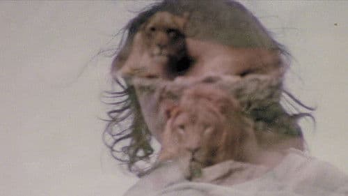 Souvenirs souvenirs Bild 3