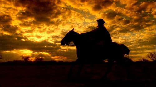 El grito en la sangre Bild 1