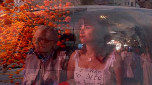 Don Barry: A Quixotic Exploration Bild 1