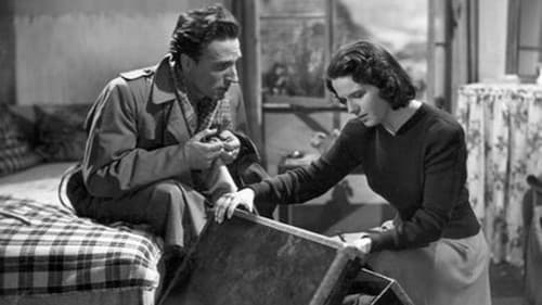 Roman einer jungen Ehe Bild 1