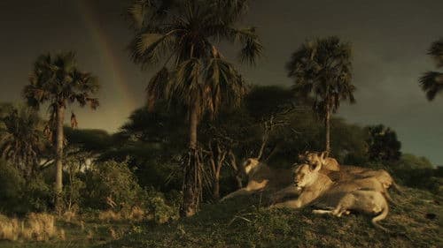 Katavi Africa's Fallen Paradise Bild 5