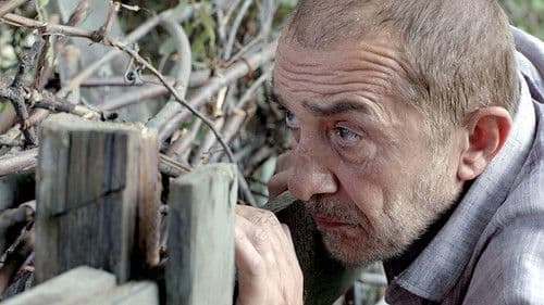 შინდისი Bild 3