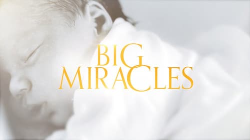 Big Miracles Bild 2