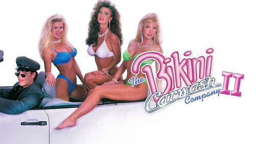 The Bikini Carwash Company II Bild 3