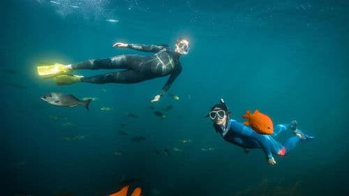 Die Karte zum Paradies Bild 1