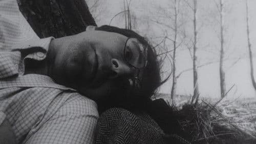 Папа, умер Дед Мороз Bild 5