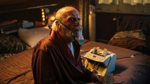 Nachtvlinders Bild 6