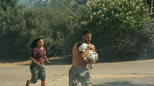 שחר אדום Bild 2