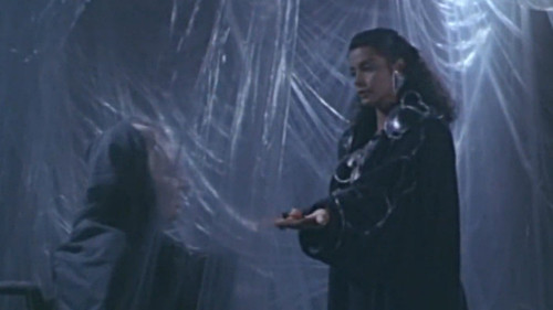 Phönix - The Warrior Bild 3