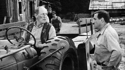 Die großen Schnauzen Bild 1