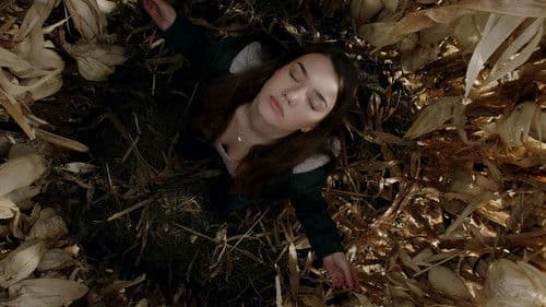 The Corruption of Divine Providence Bild 1