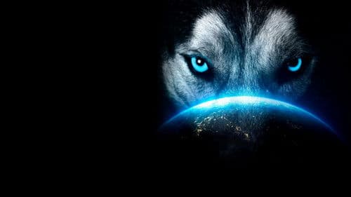 TRHD presents K-1 WORLD MAX Bild 3