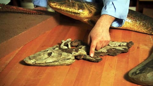 NOVA: Judgement Day - Intelligent Design on Trial Bild 1