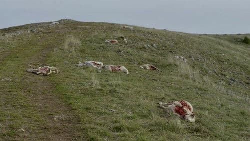 Haltung bewahren! Bild 8