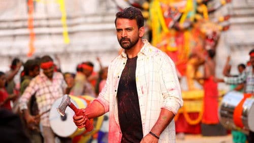 జీబ్రా Bild 7