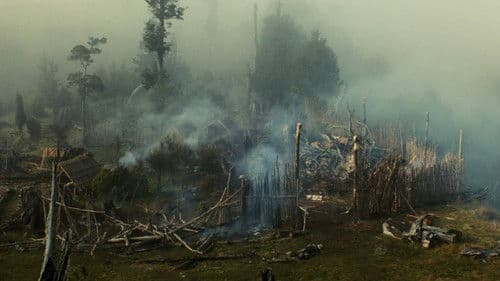 Utu - Die letzte Schlacht der Maoris Bild 3