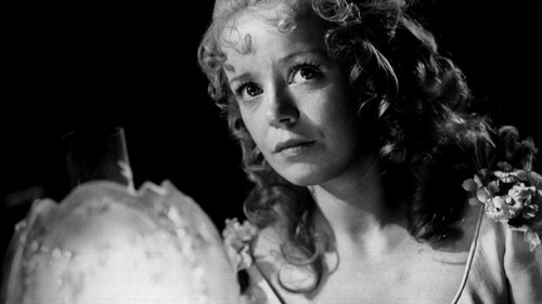 Hände voller Blut Bild 5