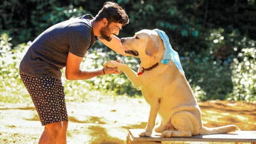 அன்புள்ள கில்லி Bild 1