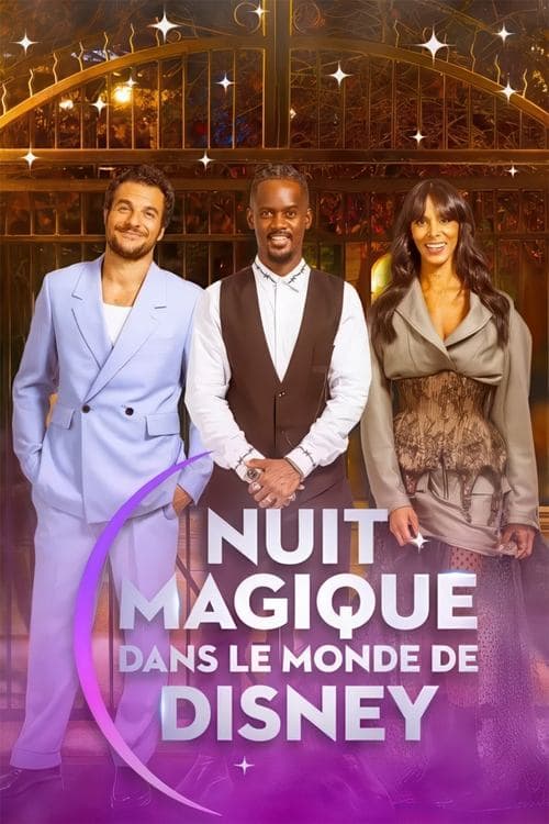 Nuit magique dans le monde de Disney