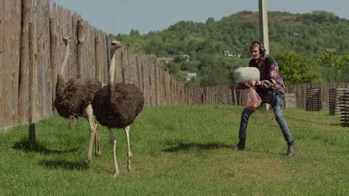 Der Tierstimmensammler oder Das Lied der Scheuen Stockente Bild 8