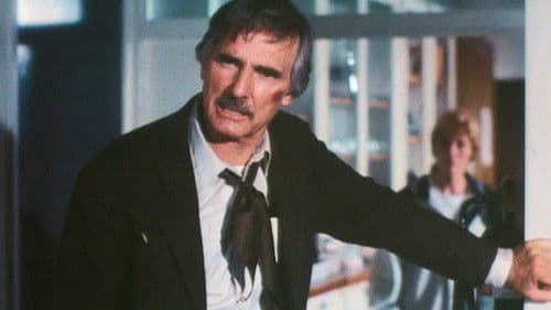 The Return of Sam McCloud Bild 1