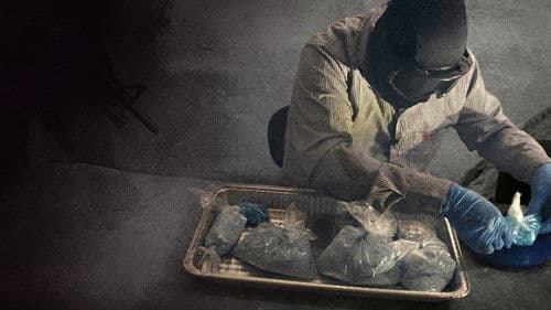 Opioïdes, business et addiction Bild 1