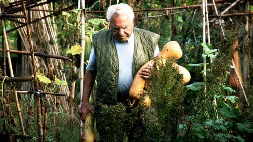 Le potager de mon grand-père Bild 1