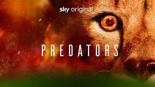 Predators Bild 5