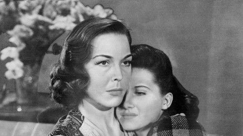 Paper Bullets Bild 2