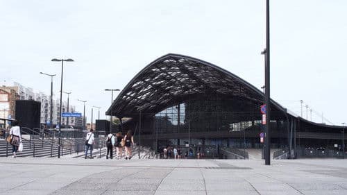 Праз рэйкі Bild 5