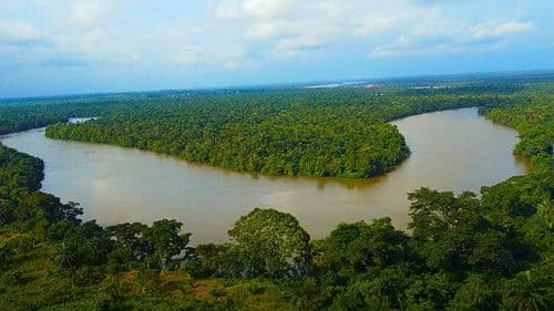 I Am More Dangerous Dead Bild 2