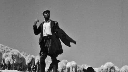 Die Banditen von Orgosolo Bild 7