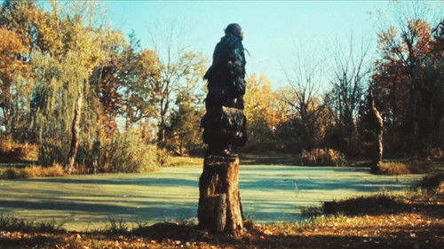 Moon Medicine - Moonrising Bild 5