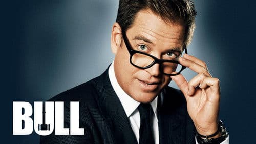 Bull Bild 8