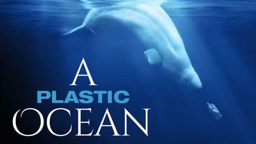 A Plastic Ocean Bild 1