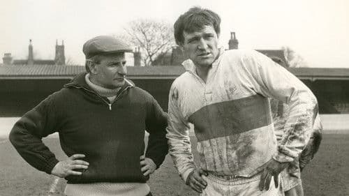 Lockender Lorbeer Bild 3