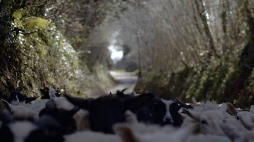 The Gentleman Farmer Bild 1