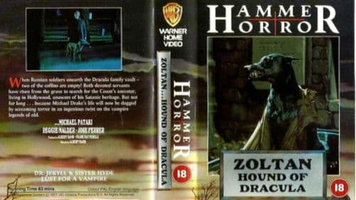 Zoltan - Dracula's Bluthund Bild 6