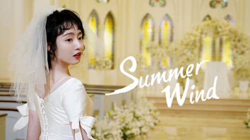 被风吹过的夏天 Bild 4