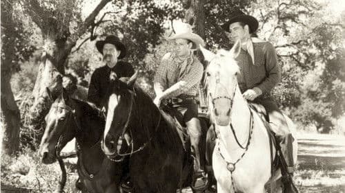 The Pinto Kid Bild 1