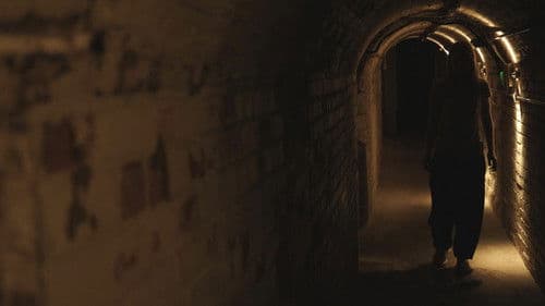 The Cellar Bild 1
