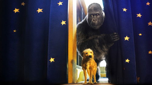 Der einzig wahre Ivan Bild 8