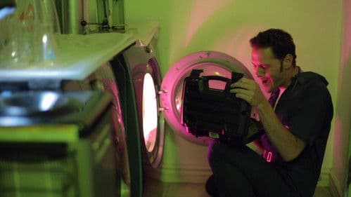 Dude Where's My Dog? Bild 1