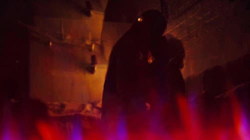 When a Parrot Knocked on the Window Bild 1