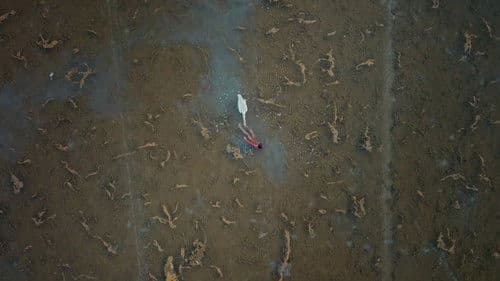 Moklani: The Last Mohanas Bild 1