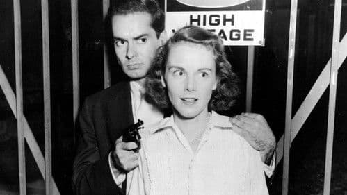 Johnny Gunman Bild 1